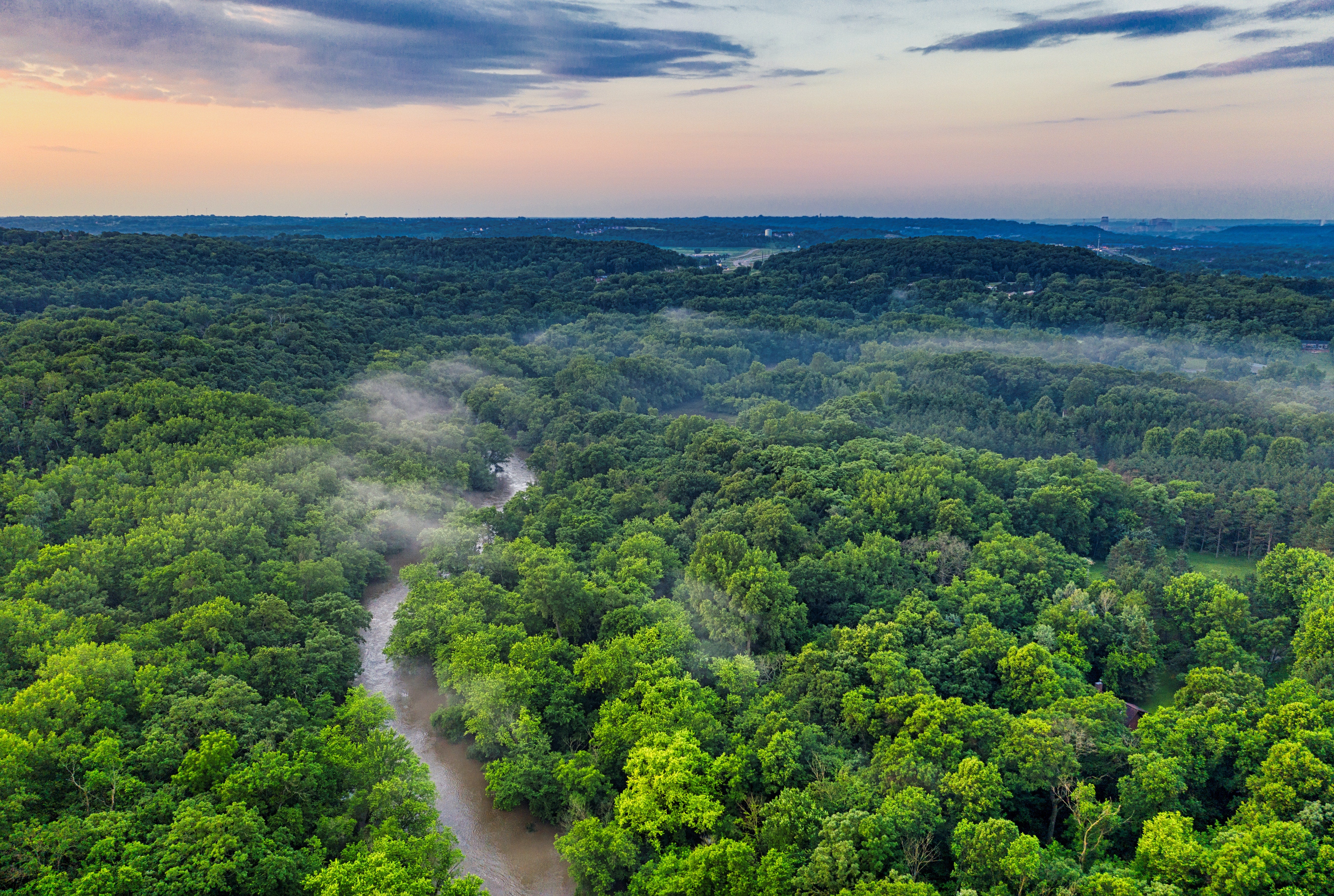 The Amazon's Green Legacy: Reforestation for a Sustainable Planet